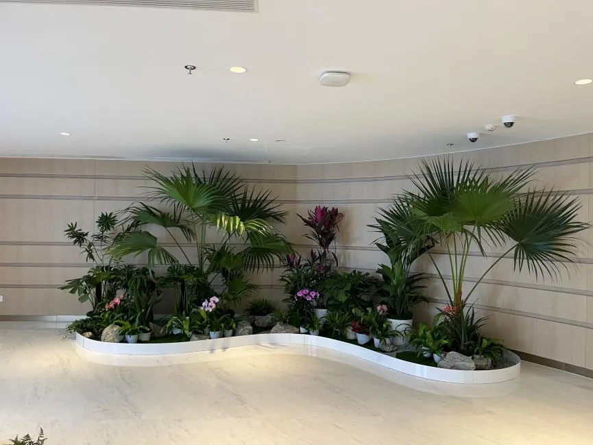 宁波鄞州绿植租赁专业